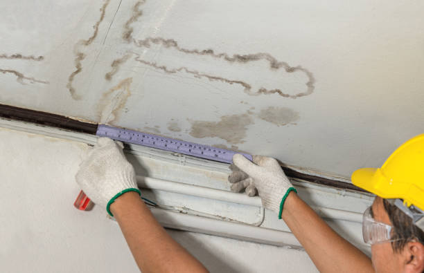 Reliable Basement Water Removal contractor in Jamestown, NC by Water Damage Irwin